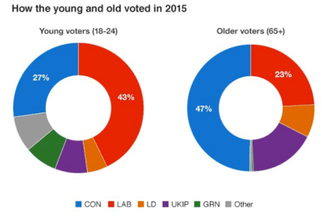 Pie Charts Showing How the Young and Old Voted